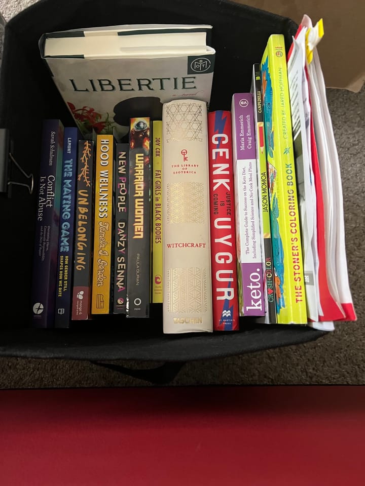 My Bedside Bin August 2024. Image shows books lined, spines facing up, in a black collapsable bin,